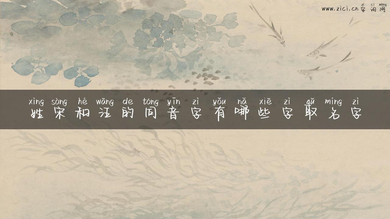 姓宋和汪的同音字有哪些字取名字