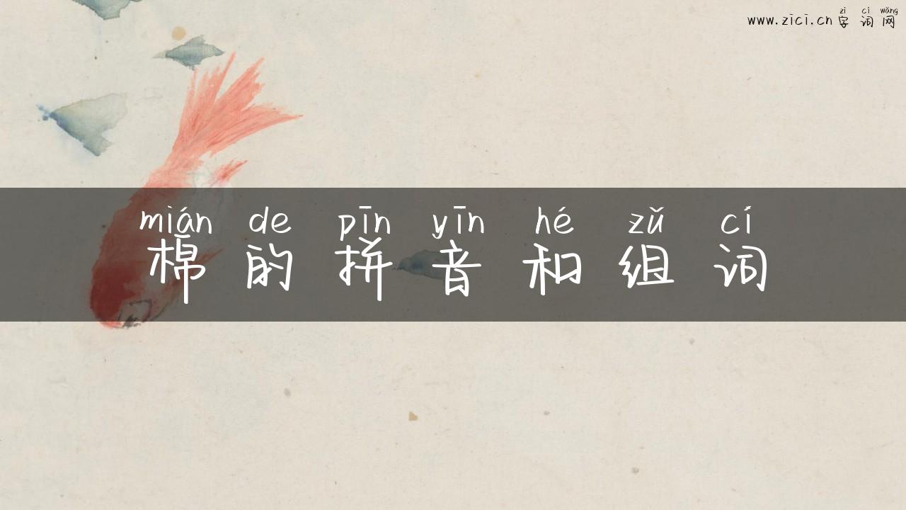 棉的拼音和组词
