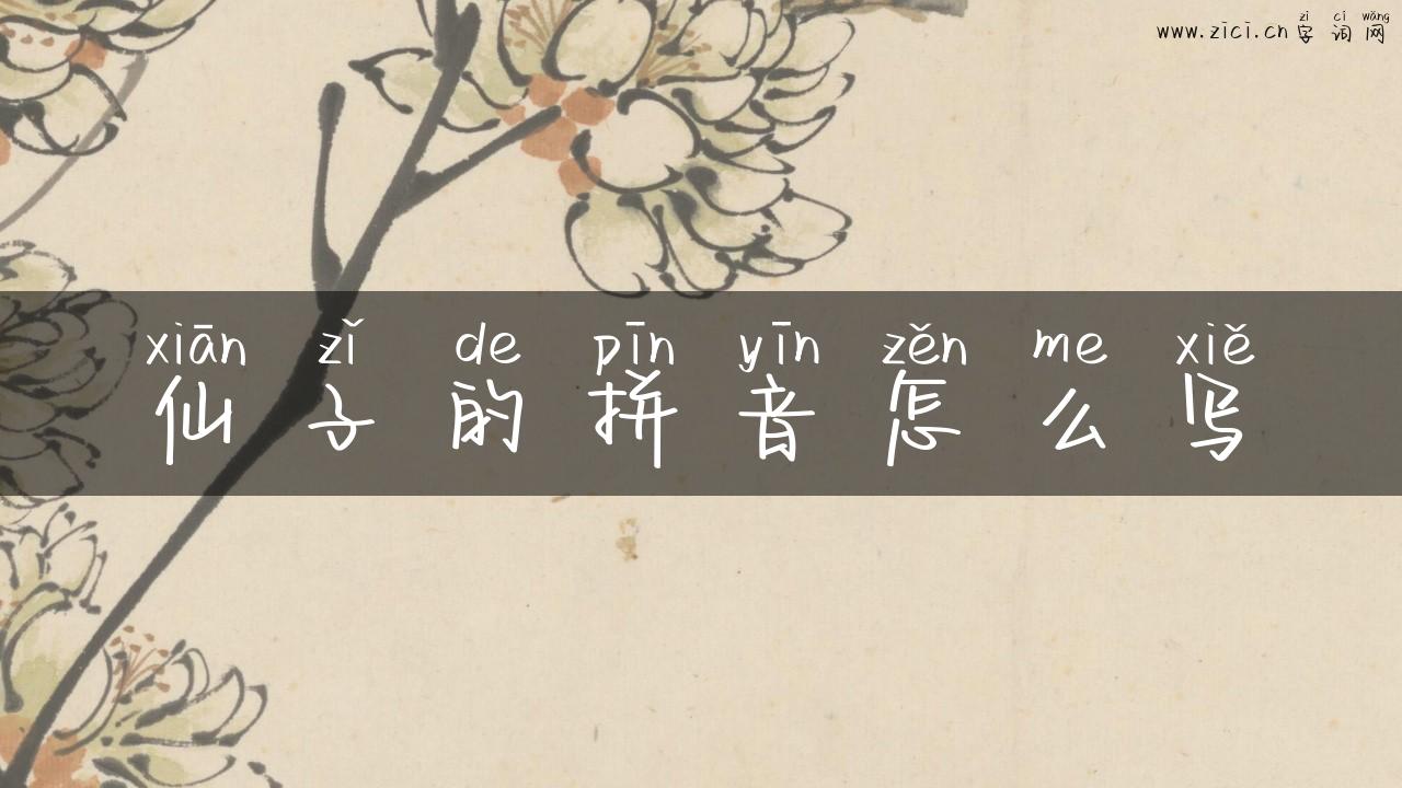 仙子的拼音怎么写