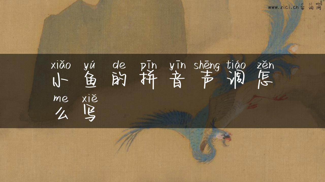 小鱼的拼音声调怎么写