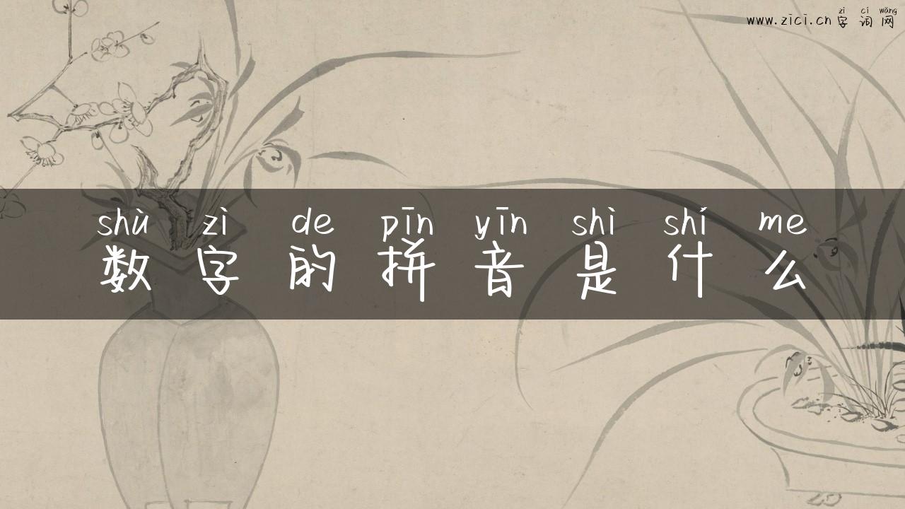 数字的拼音是什么