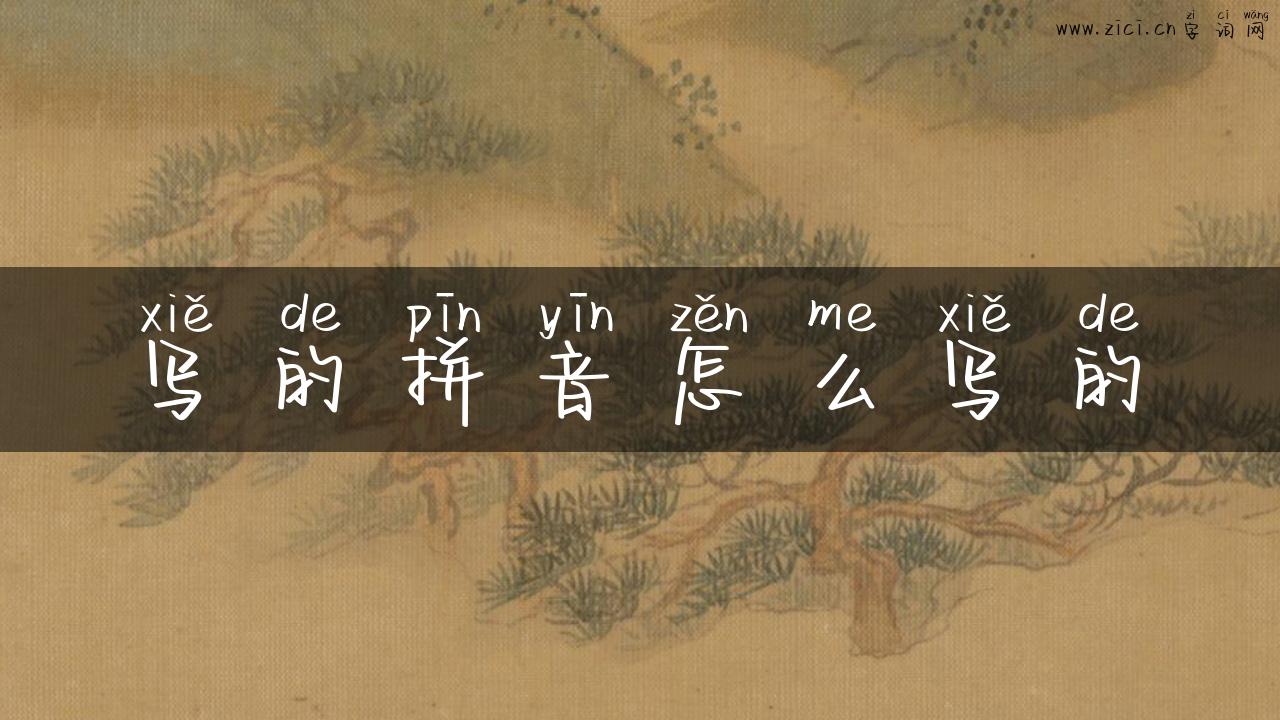 写的拼音怎么写的