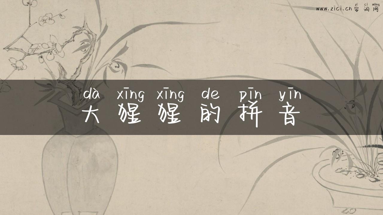 大猩猩的拼音