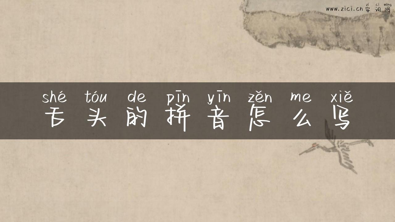 舌头的拼音怎么写