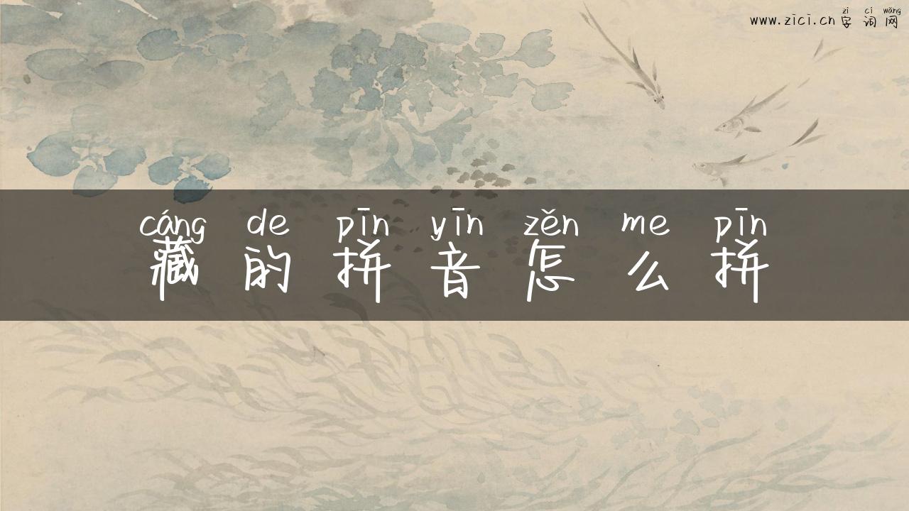 藏的拼音怎么拼