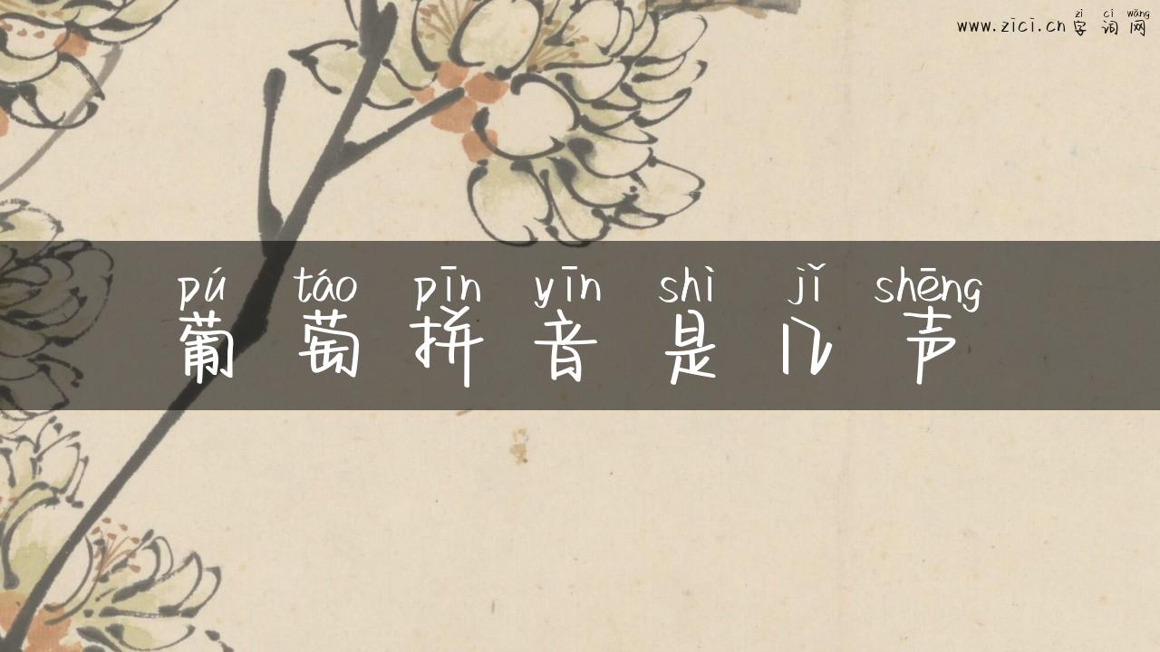 葡萄拼音是几声