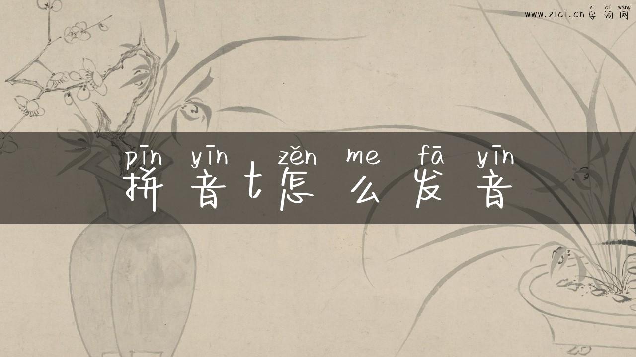 拼音t怎么发音
