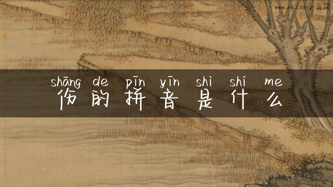伤的拼音是什么