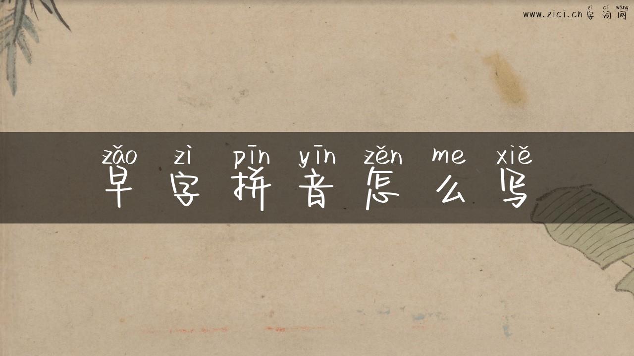 早字拼音怎么写