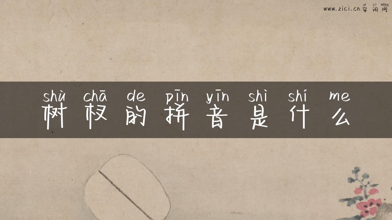 树杈的拼音是什么