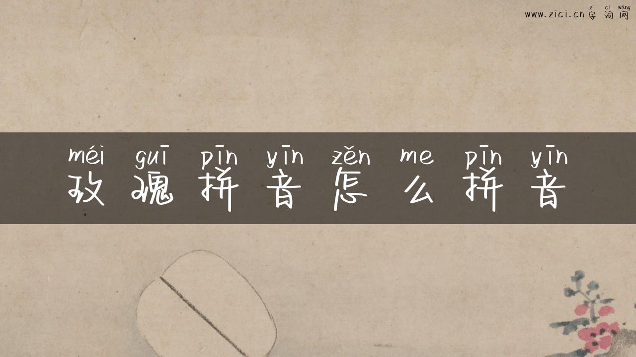 玫瑰拼音怎么拼音