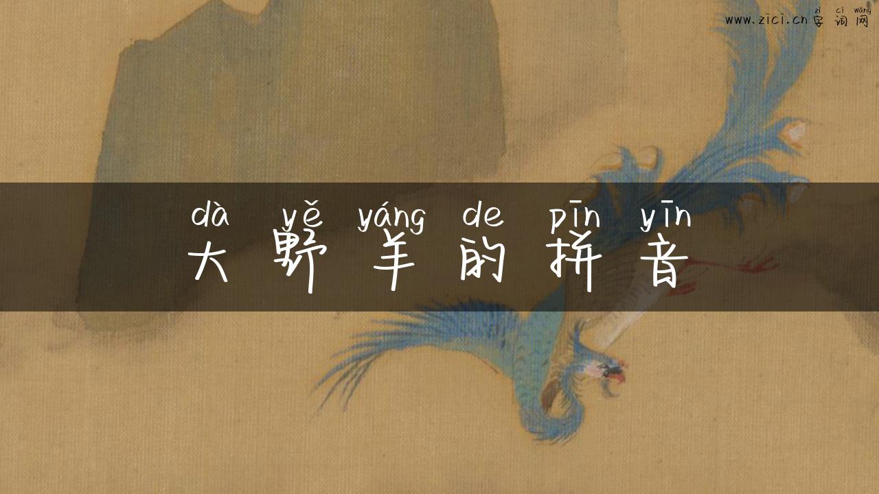 大野羊的拼音