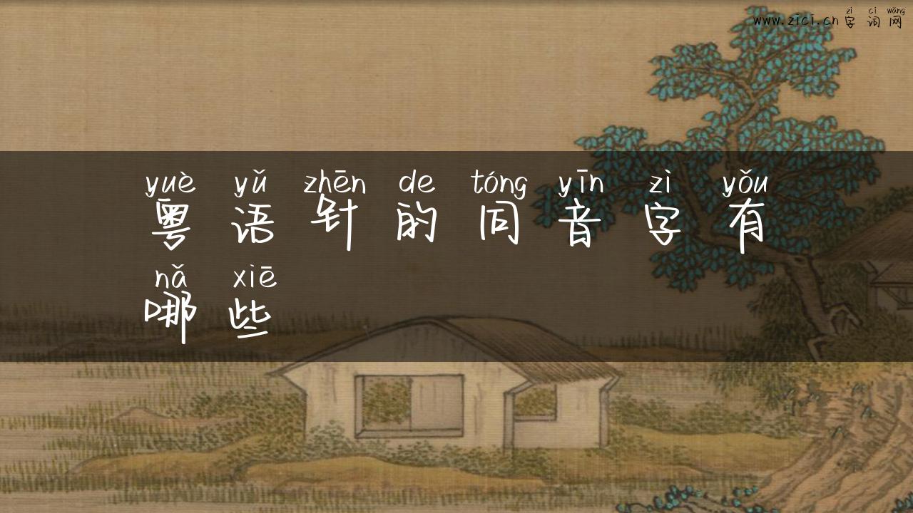 粤语针的同音字有哪些