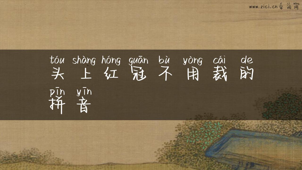 头上红冠不用裁的拼音