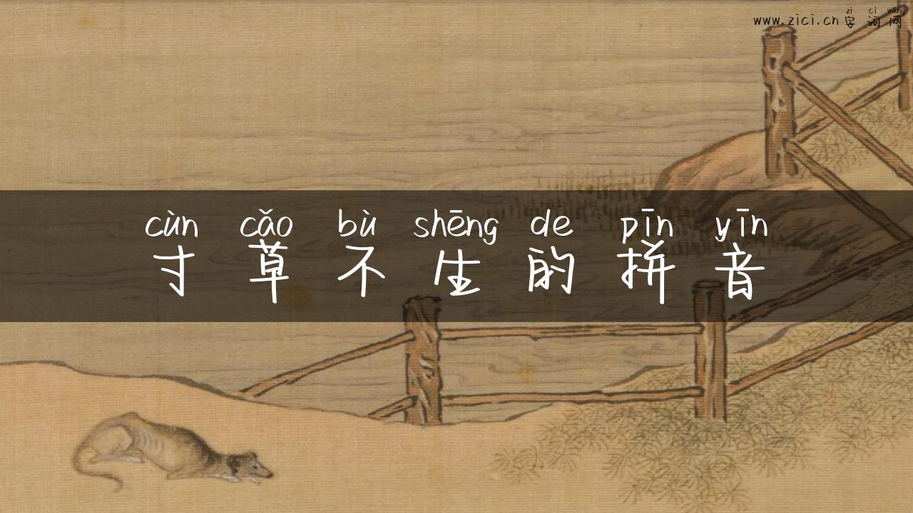 寸草不生的拼音