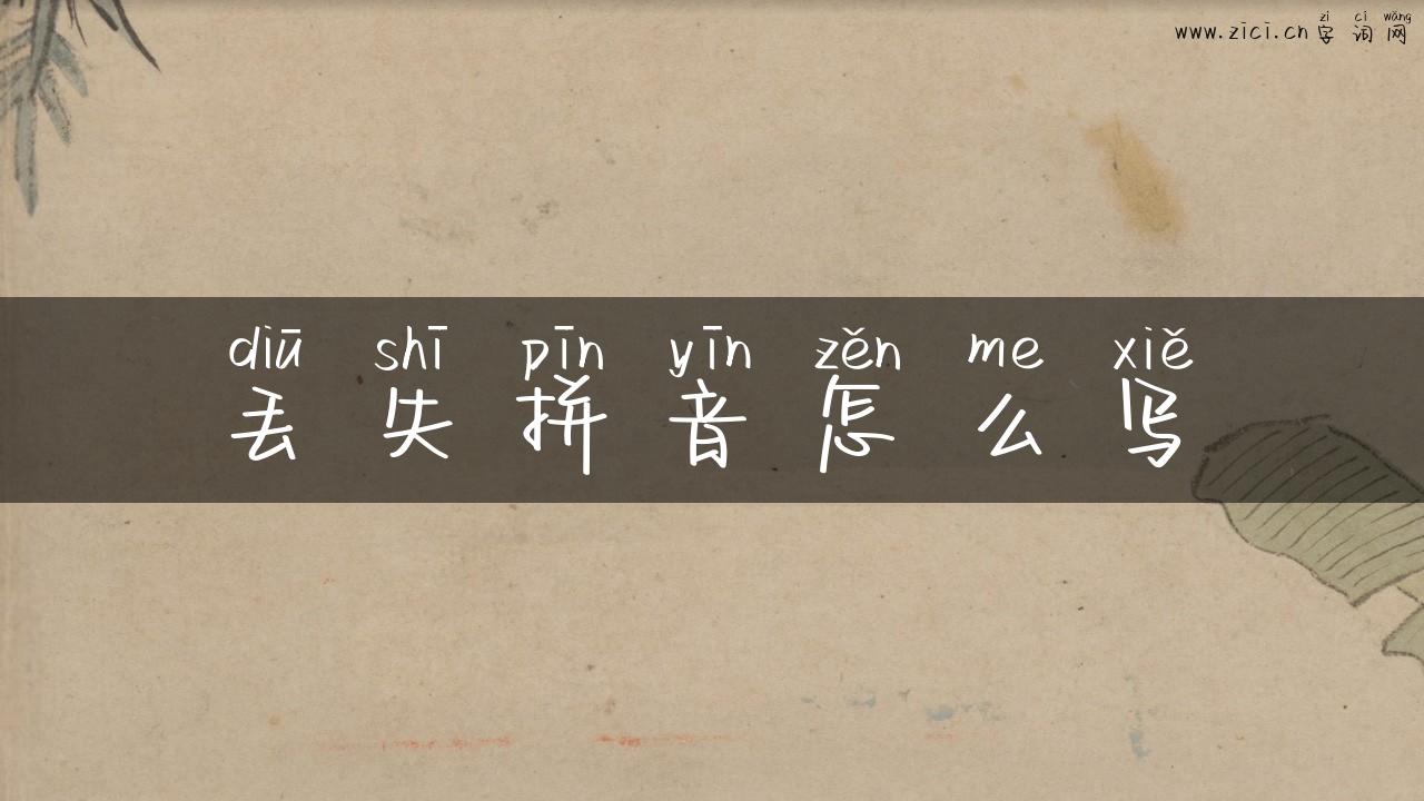 丢失拼音怎么写