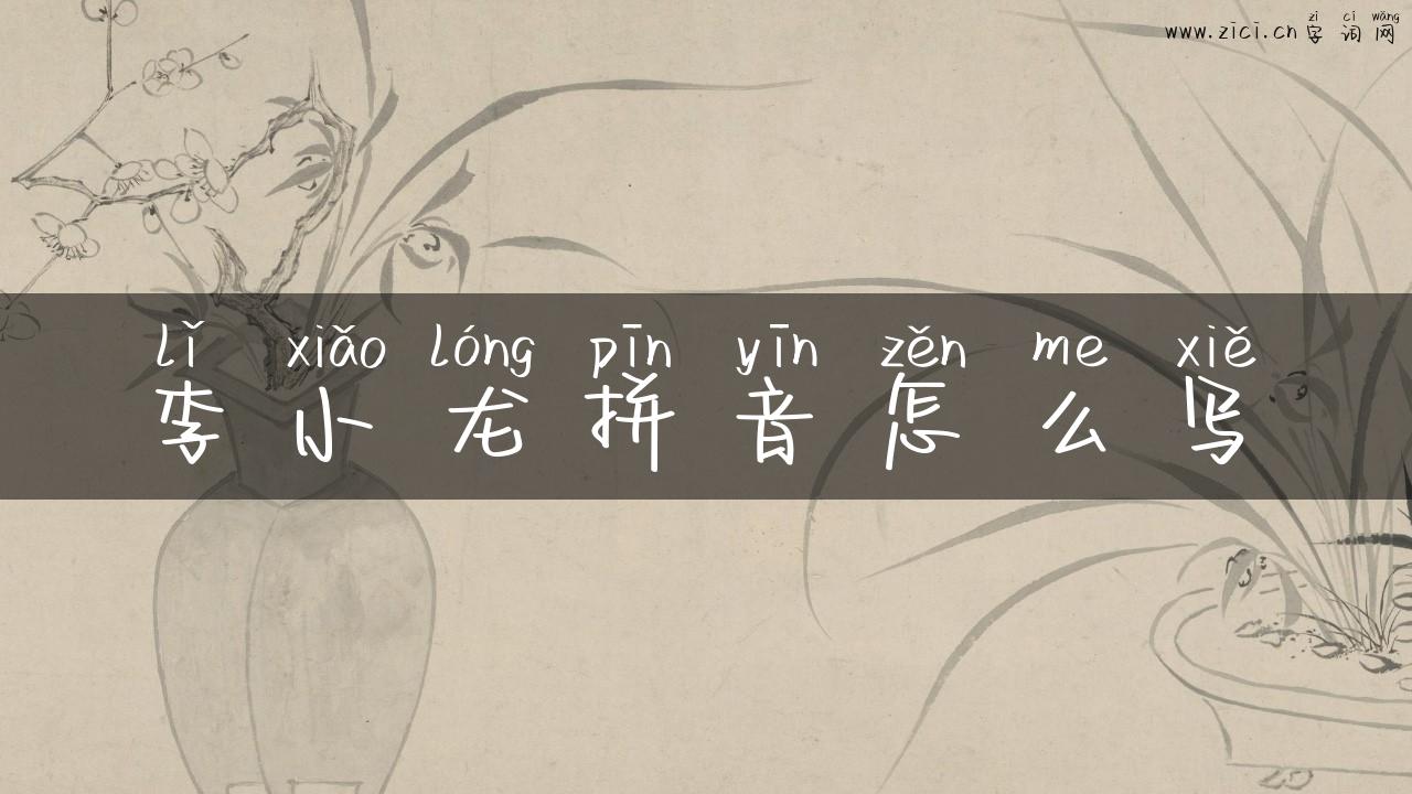 李小龙拼音怎么写