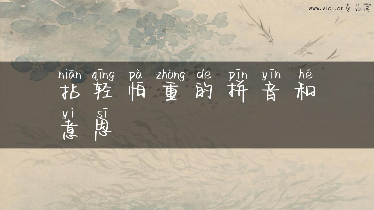 拈轻怕重的拼音和意思