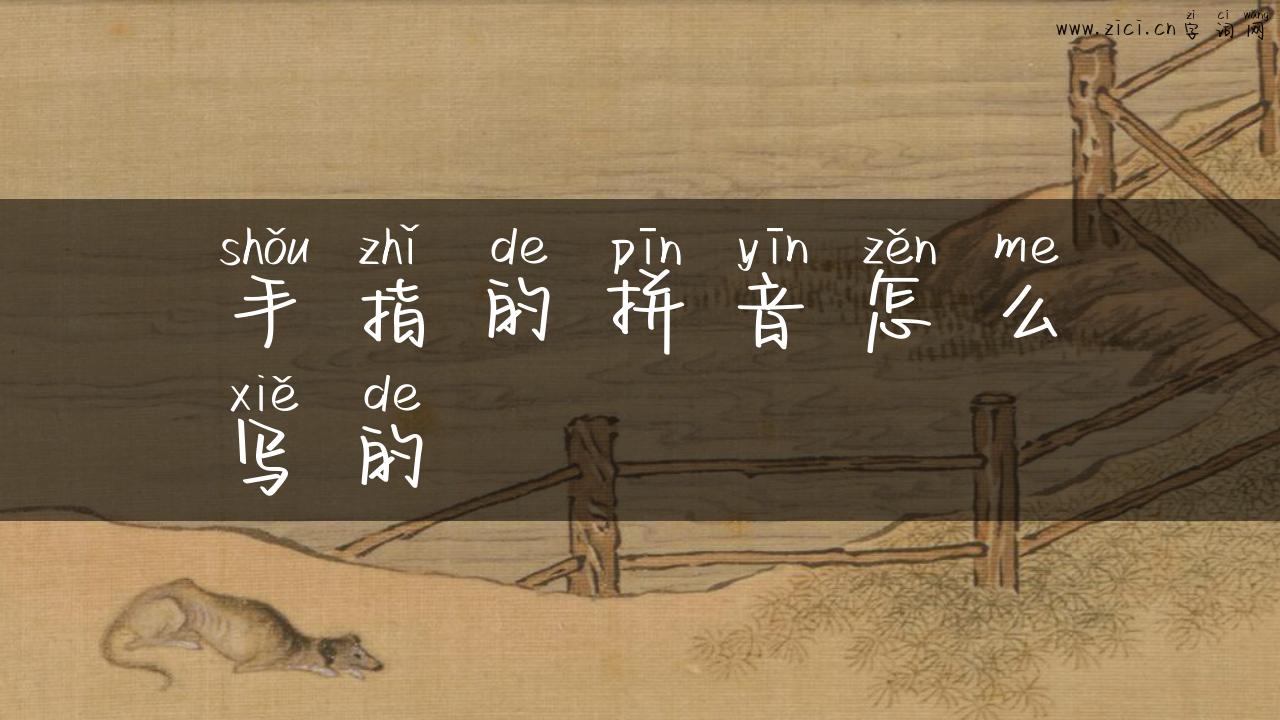手指的拼音怎么写的