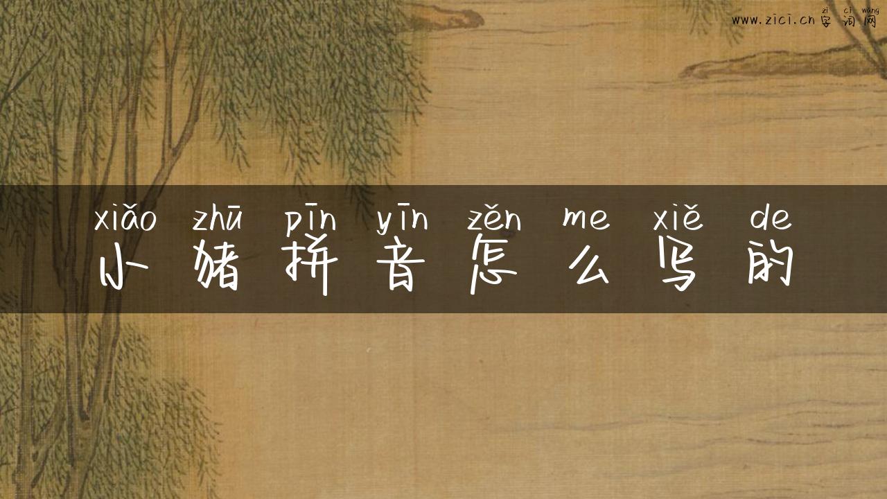 小猪拼音怎么写的