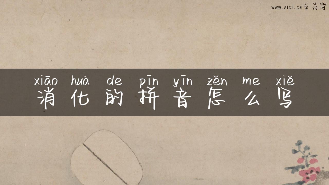 消化的拼音怎么写