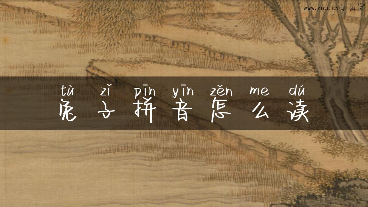 兔子拼音怎么读