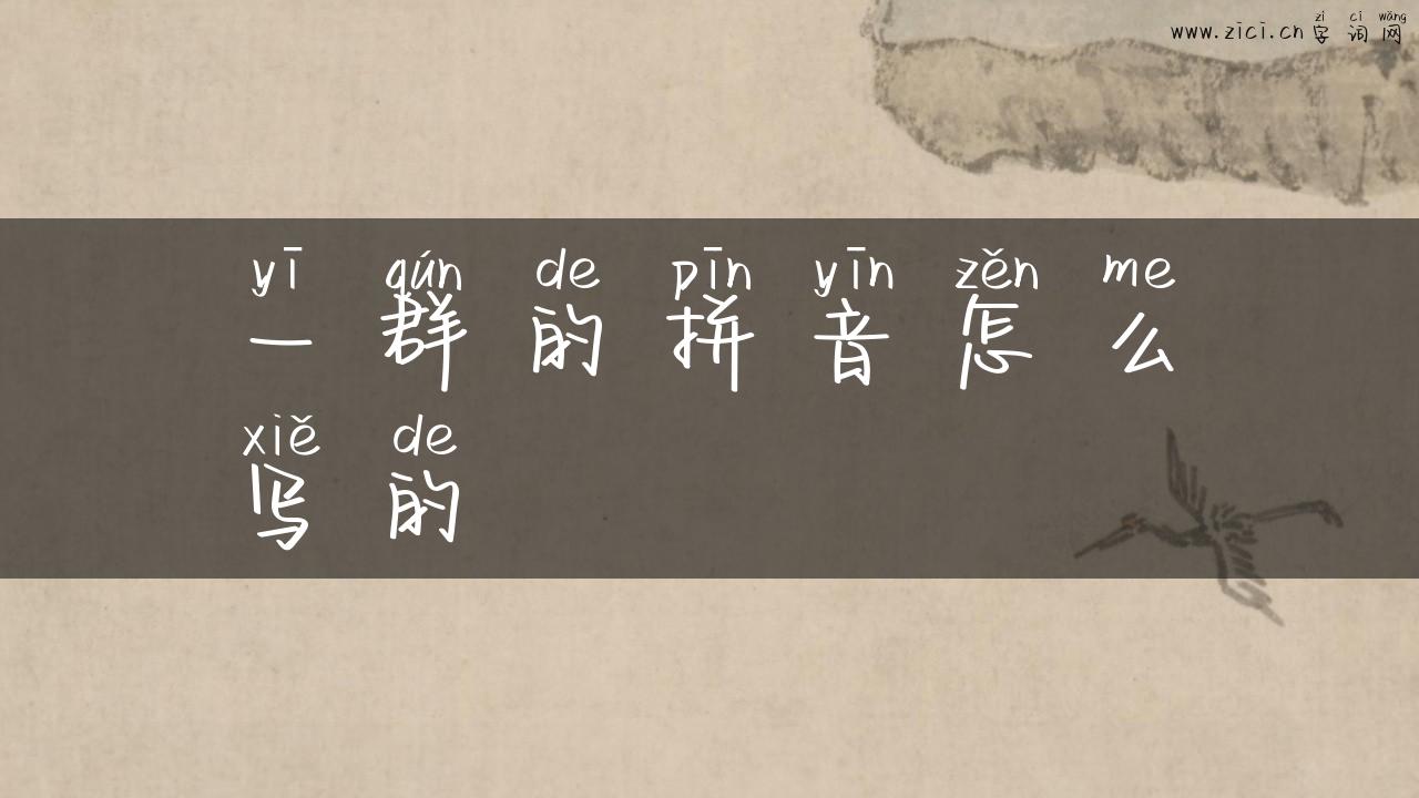一群的拼音怎么写的