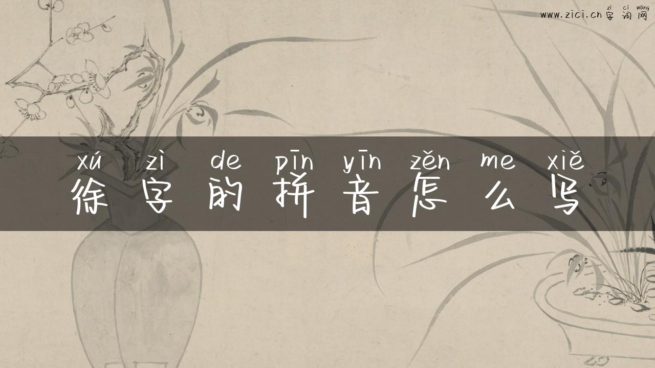 徐字的拼音怎么写