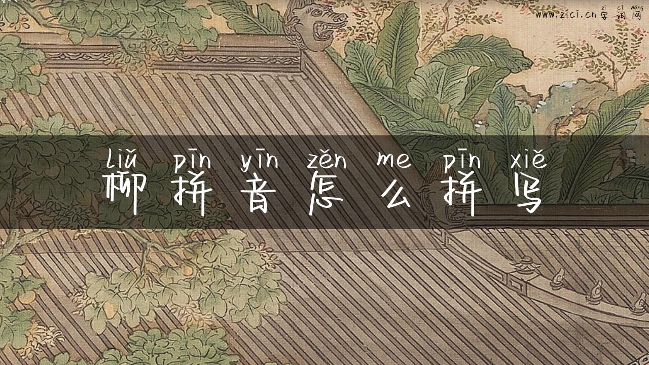 柳拼音怎么拼写