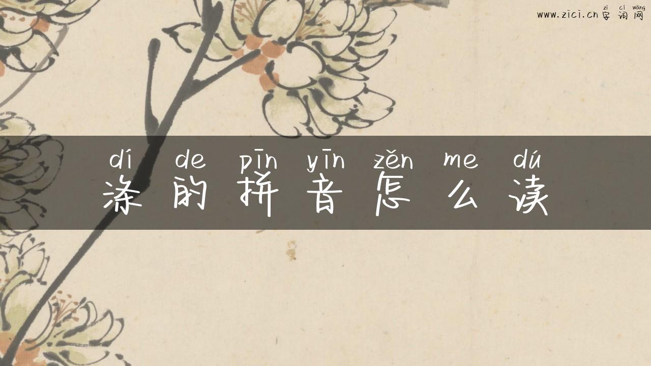 涤的拼音怎么读