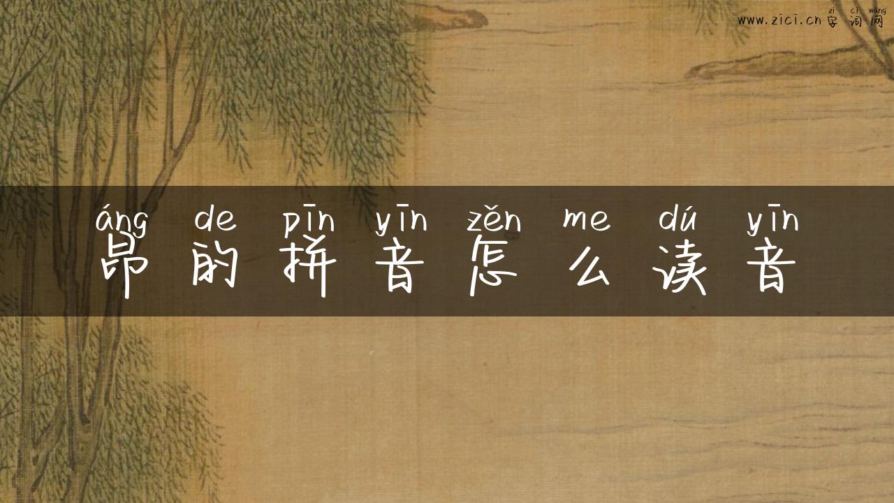 昂的拼音怎么读音