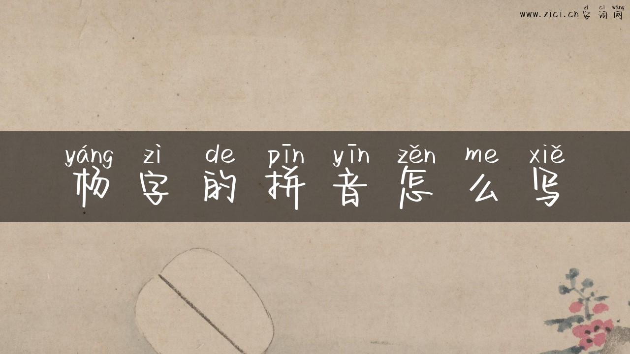 杨字的拼音怎么写