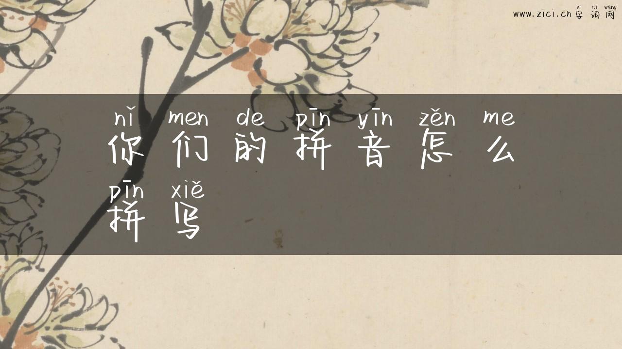 你们的拼音怎么拼写