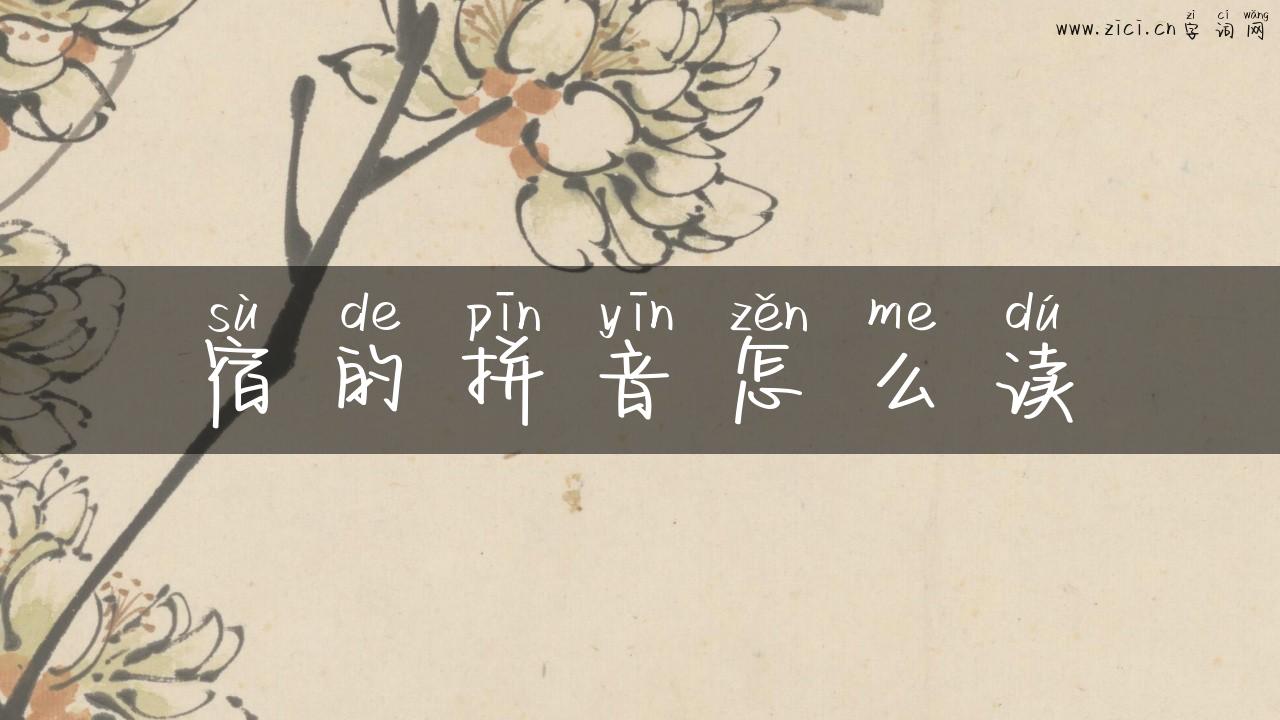 宿的拼音怎么读