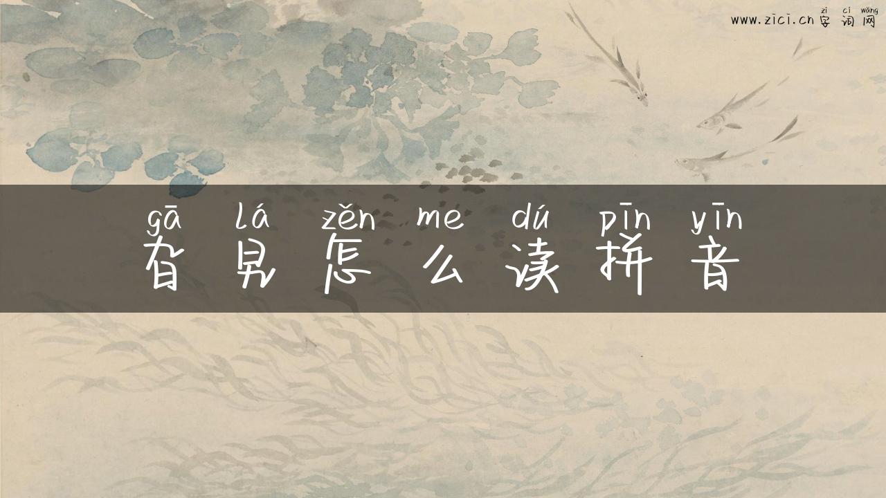旮旯怎么读拼音