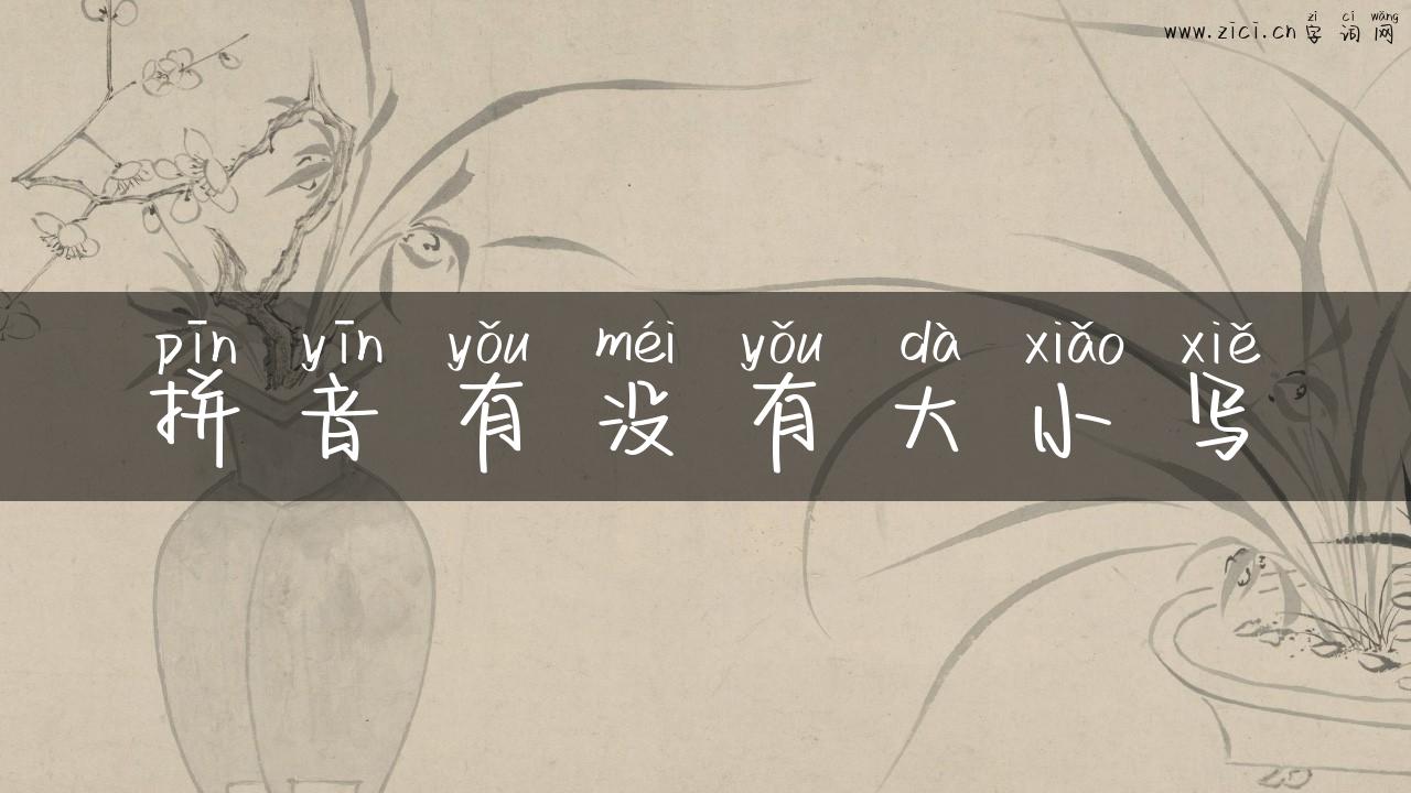 拼音有没有大小写