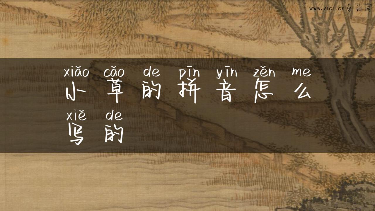 小草的拼音怎么写的