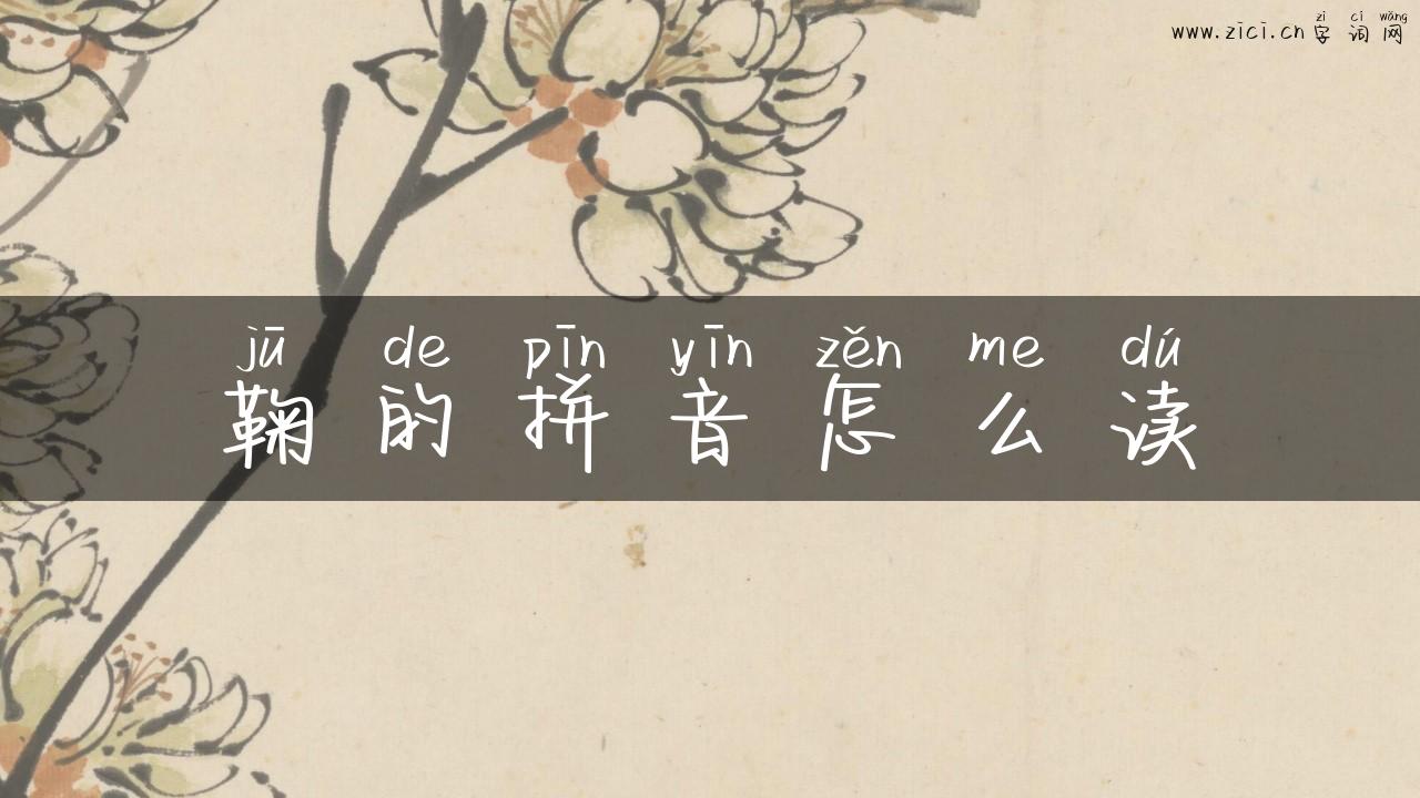 鞠的拼音怎么读