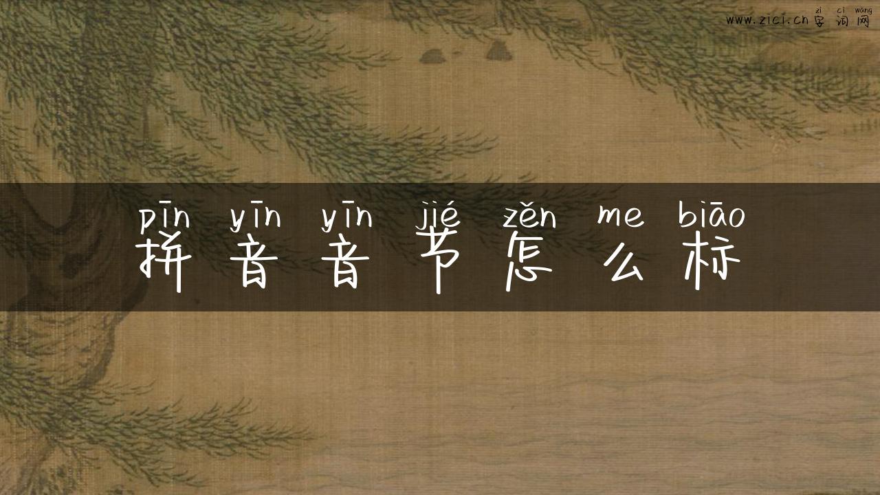 拼音音节怎么标