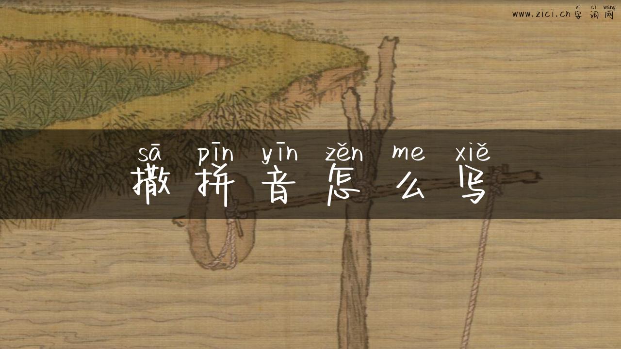 撒拼音怎么写