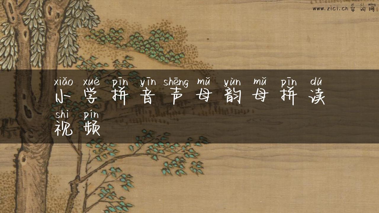 小学拼音声母韵母拼读视频