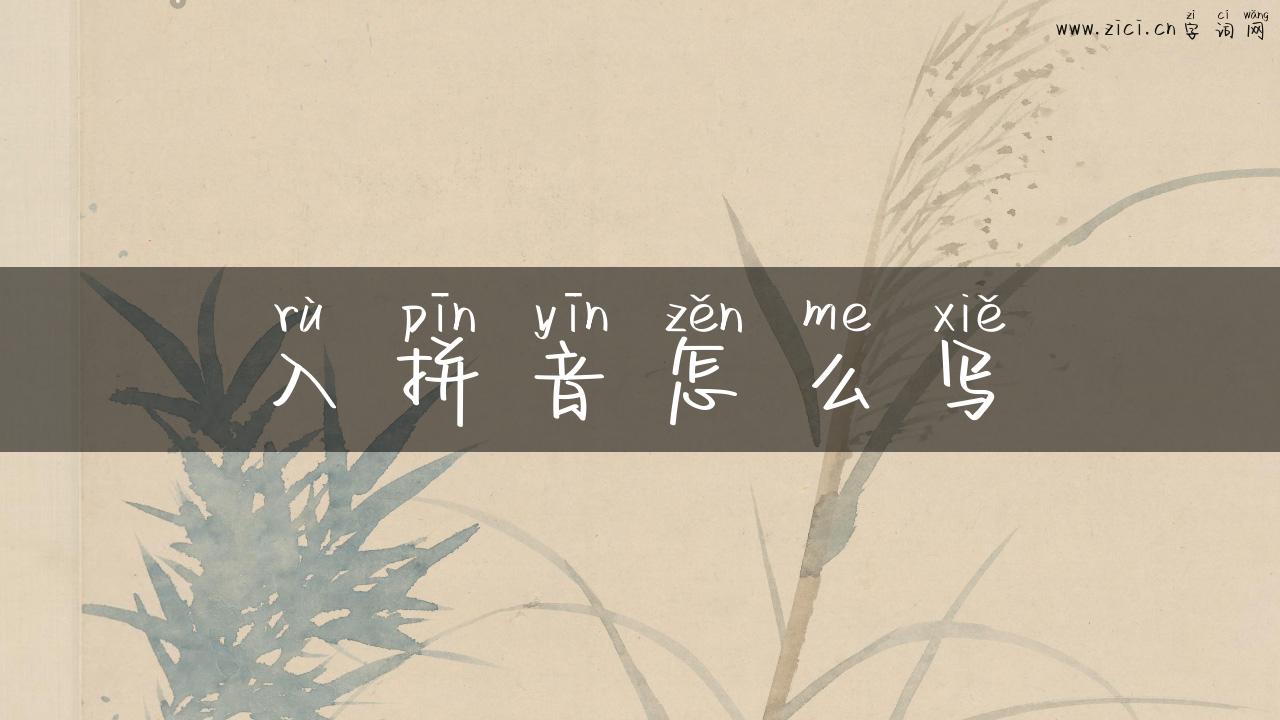 入拼音怎么写