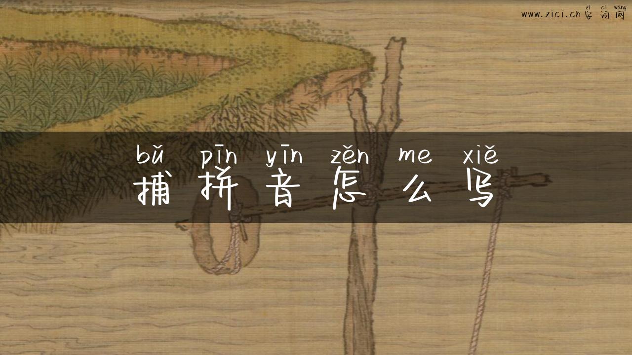 捕拼音怎么写