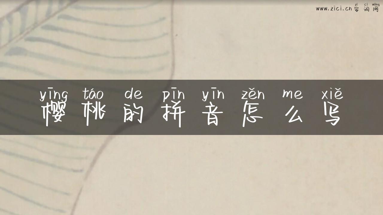 樱桃的拼音怎么写