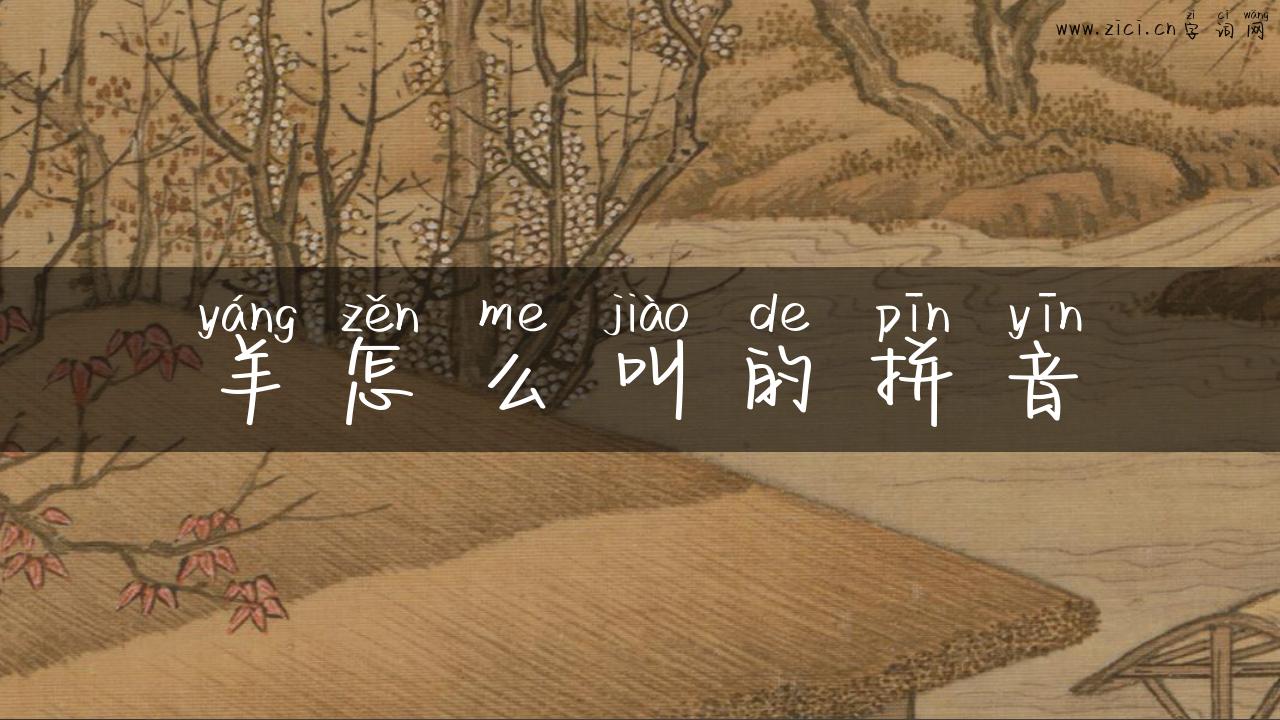 羊怎么叫的拼音