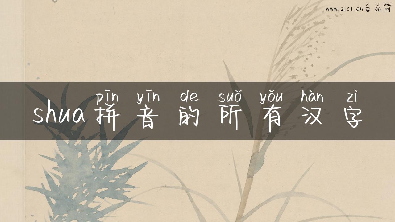 shua拼音的所有汉字