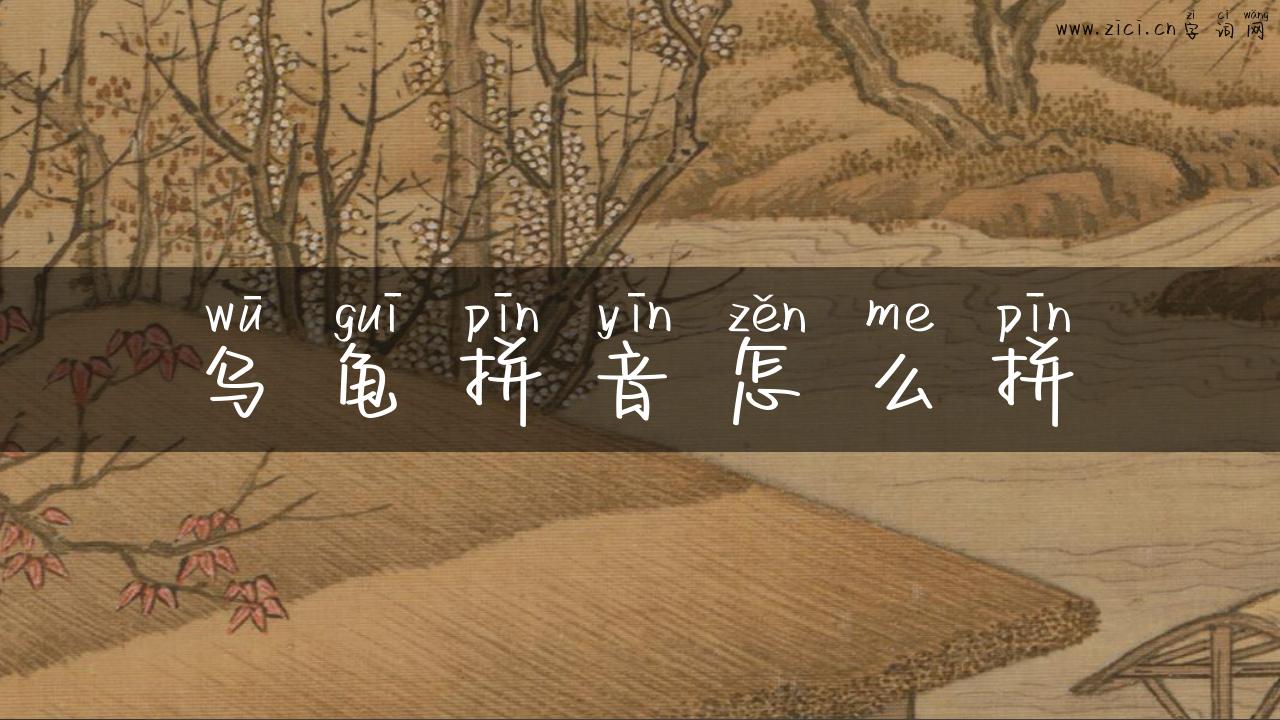 乌龟拼音怎么拼