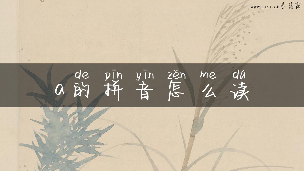 a的拼音怎么读