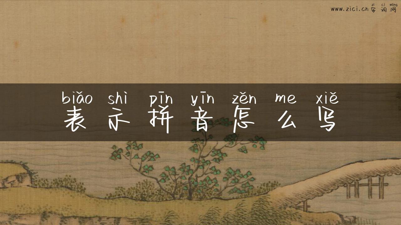 表示拼音怎么写