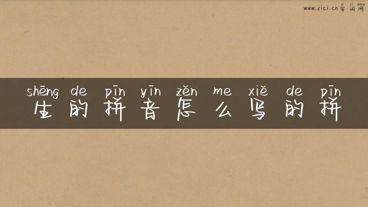 生的拼音怎么写的拼